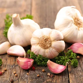 Fresh Garlic 